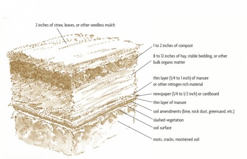 Bomb-Proof Sheet Mulch