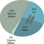 The Cosmos, the Earth, and Your Health: The Story of Soil - Toby Hemenway