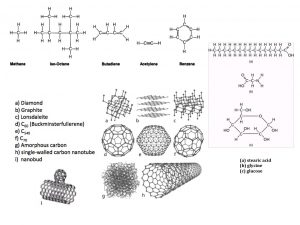 Carbon Compounds Final